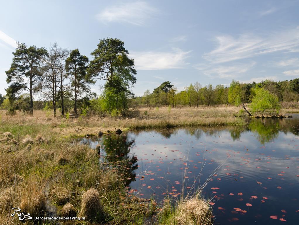 De Roermondse Beleving Bed & Breakfast Luaran gambar